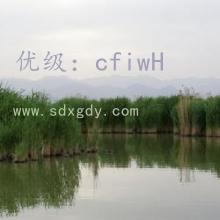 ָ