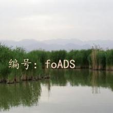 α