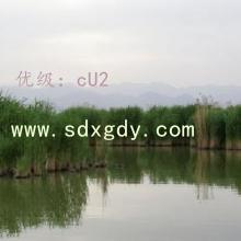 α