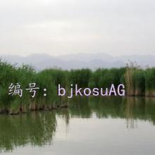 ǧ