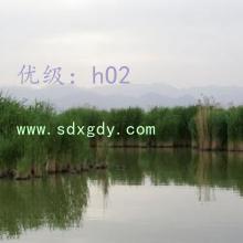 α