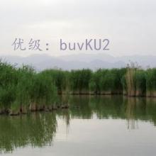 ʦ