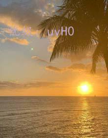 ҵ